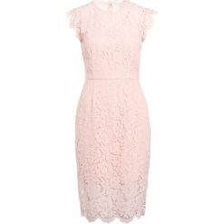 Sukienki: Rachel Zoe SUZETTE Sukienka etui blush