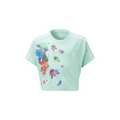 Bluzki dziewczęce: T-shirty z krótkim rękawem Dziecko adidas Koszulka GRPHC Cropped