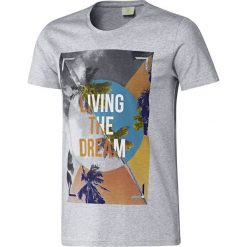 Adidas T-shirt B89613. Szare t-shirty męskie marki Adidas, m, z bawełny. W wyprzedaży za 69,99 zł.