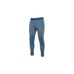 Kalesony męskie: Legginsy i Rajstopy Salewa Spodnie Pedroc Winter PL M Tights 26620-8960