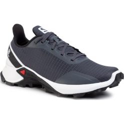 Buty SALOMON - Alphacross W 408045 20 W0 India Ink/White/Black. Szare buty sportowe damskie Salomon, z materiału, sportowe, do biegania. Za 399,00 zł.