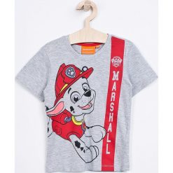 T-shirty chłopięce: Blukids – T-shirt dziecięcy Paw Patrol 98-128 cm