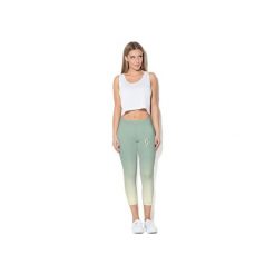 Legginsy: Legginsy CP-011 258