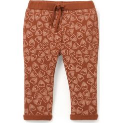 Spodnie dresowe z moltonu w sówki, 1 mies. - 3 lata, Oeko Tex. Brązowe spodnie dresowe dziewczęce marki La Redoute Collections, z bawełny. Za 60,44 zł.