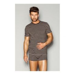 T-shirty męskie: Esotiq & henderson Koszulka Wide 32449-88X brązowe paski r. XXL