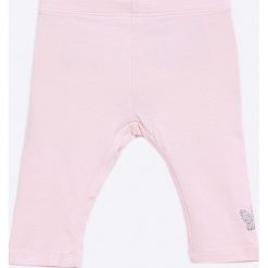 Blukids - Legginsy dziecięce 68-98 cm. Różowe spodnie dziewczęce Blukids, bez wzorów, z elastanu. W wyprzedaży za 17,90 zł.