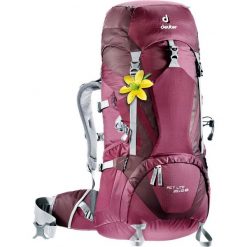 Plecaki damskie: Deuter Plecak trekkingowy damski ACT Lite 35 + 10 SL Blackberry/Aubergine (3340015-5530)