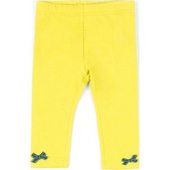 Coccodrillo - Legginsy dziecięce 62-80 cm. Zielone spodnie dziewczęce COCCODRILLO, bez wzorów, z elastanu. Za 35,90 zł.