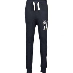 Blue Seven - Spodnie dziecięce 140-176 cm. Szare spodnie chłopięce Blue Seven, z nadrukiem, z bawełny, sportowe. W wyprzedaży za 79,90 zł.