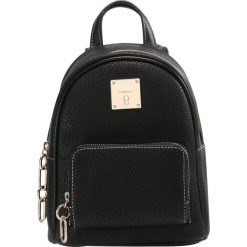 Plecaki damskie: Fiorelli BONO Plecak black