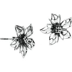 Kolczyki damskie: Wild Flower Kolczyki – Earpin standard