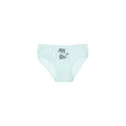 Majtki dziewczęce figi. Szare majtki dziewczęce marki TXM. Za 3,99 zł.