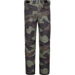 THE NORTH FACE PRESENA > 0A3IG2FN61. Szare spodnie męskie The North Face, na imprezę, xl, w paski, z tkaniny, street. Za 669,99 zł.