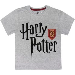 Disney Koszulka Dziecięca Harry Potter 116 Szary. Szare t-shirty chłopięce Disney, z motywem z bajki, bez rękawów. Za 35,00 zł.