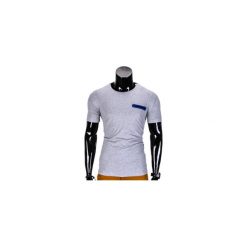 T-shirty męskie: T-SHIRT MĘSKI BEZ NADRUKU S824 – SZARY