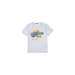 T-shirt męski. Szare t-shirty męskie TXM, m, bez wzorów, bez kołnierzyka. Za 19,99 zł.