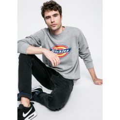 Bejsbolówki męskie: Dickies – Bluza