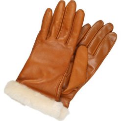 Rękawiczki damskie: UGG Rękawiczki pięciopalcowe chestnut