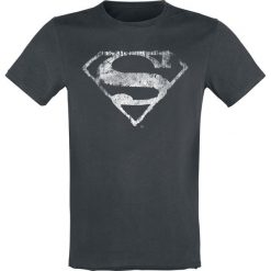 T-shirty męskie: Superman Logo Mono Distressed (White Noise) T-Shirt ciemnoszary