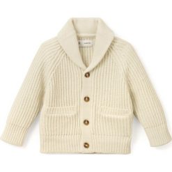 Bluzy niemowlęce: Klasyczna bluza chłopięca