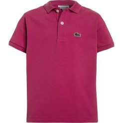 Lacoste PJ290900 Koszulka polo stacy chine. Fioletowe t-shirty chłopięce marki Lacoste, z bawełny. Za 219,00 zł.