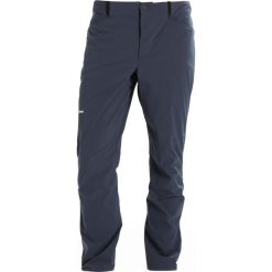 Chinosy męskie: Berghaus FAST HIKE LIGHT PANT Spodnie materiałowe midnight