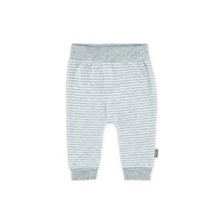 Feetje Spodnie Paski little star grey. Szare spodnie chłopięce marki Feetje, w paski, z elastanu. Za 49,00 zł.