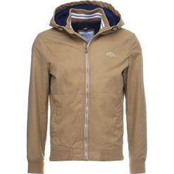 Kurtki męskie bomber: Springfield YOUNG CLASSIC HOOD Kurtka wiosenna beige/camel