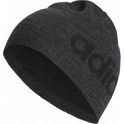 CZAPKA ZIMOWA ADIDAS DAILY BEANIE (DAMSKA). Czapki damskie Adidas, na zimę. Za 39,99 zł.