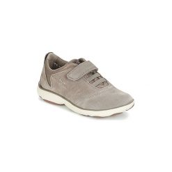 Buty Dziecko Geox NEBULA GIRL. Szare trampki dziewczęce Geox, bez wzorów, bez zapięcia. Za 191,40 zł.