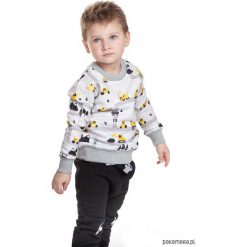 Bluzy chłopięce: Bluza Koparki Pocopato