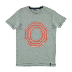 T-shirty chłopięce z nadrukiem: Koszulka „Nonsense” w kolorze szarym