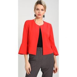 Marynarki i żakiety damskie: s.Oliver BLACK LABEL Żakiet flame red