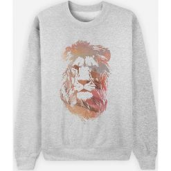 Bluza "Desert Lion" w kolorze szarym. Szare bluzy damskie Wooop, s, z nadrukiem, bez rękawów, bez kaptura. W wyprzedaży za 87,95 zł.