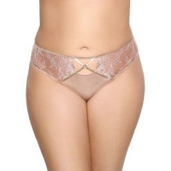 Stringi: Stringi
