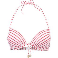 Stroje dwuczęściowe damskie: watercult Góra od bikini white/red