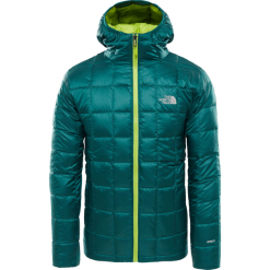 Kurtka Puchowa The North Face Kabru T93L4VBCW. Pomarańczowe kurtki męskie The North Face, m, bez wzorów, z poliesteru, street, bez kaptura. W wyprzedaży za 459,99 zł.