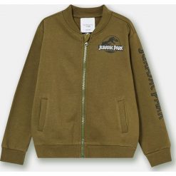 Bluza chłopięca - Khaki. Brązowe bluzy chłopięce Sinsay, bez wzorów, bez rękawów, bez kaptura. Za 25,99 zł.
