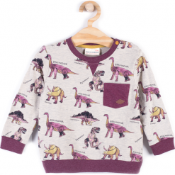 Koszulka. Brązowe t-shirty chłopięce z długim rękawem STEGOSAURUS, z bawełny. Za 34,90 zł.