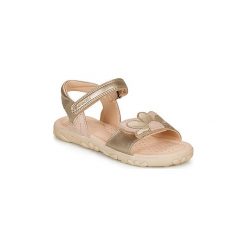Sandały Dziecko Geox HAITI GIRL. Sandały dziewczęce Geox, bez zapięcia. Za 207,20 zł.