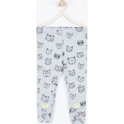 Coccodrillo - Legginsy dziecięce 56-86 cm. Szare spodnie dziewczęce COCCODRILLO, bez wzorów, z dzianiny. Za 37,90 zł.