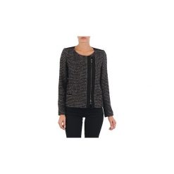 Marynarki i żakiety damskie: Żakiety / Blezery Lola VIE LUREX