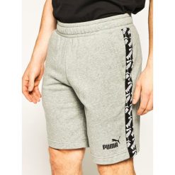 Szorty sportowe Puma Amplified 9" Tr 581416. Szare spodnie męskie Puma, xl, bez wzorów, sportowe. W wyprzedaży za 109,99 zł.