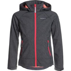 Icepeak TRIINE Kurtka Softshell lead grey. Szare kurtki sportowe damskie marki Icepeak, z poliesteru, sportowe. Za 249,00 zł.