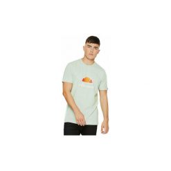 T-shirty z krótkim rękawem Ellesse Vettorio Camiseta. Zielone t-shirty męskie marki Ellesse, s, bez wzorów, bez kołnierzyka, krótkie. Za 119,27 zł.