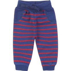 TXM SPODNIE NIEMOWLĘCE DZIEWCZĘCE DRES 62 GRANATOWY. Niebieskie spodnie niemowlęce TXM, bez wzorów, z dresówki. Za 12,99 zł.