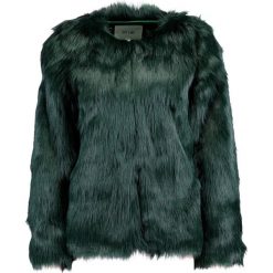 Kurtki damskie: Dry Lake COZY Kurtka wiosenna dark green