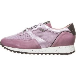 Skórzane sneakersy w kolorze fioletowym. Fioletowe trampki i tenisówki damskie Otto Kern, ze skóry. W wyprzedaży za 322,95 zł.
