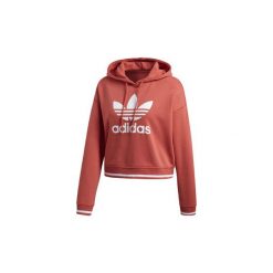 Bluzy damskie: Bluzy adidas Bluza z kapturem Active Icons