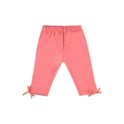 Spodnie niemowlęce: PINK OR BLUE Girls Leginsy orange
